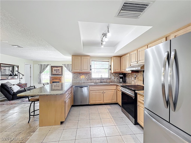 kitchen with kitchen peninsula, a kitchen bar, stainless steel appliances, a tray ceiling, and sink