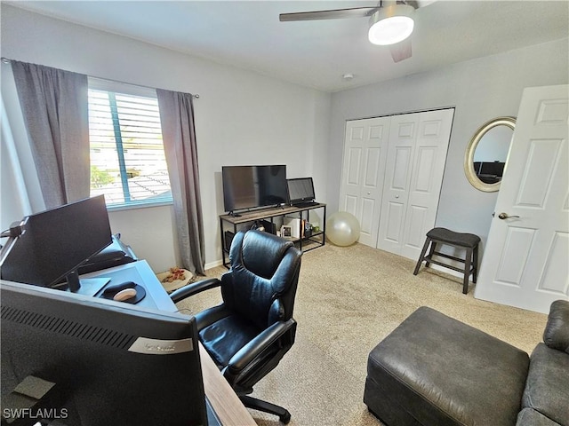 office area with carpet flooring and a ceiling fan