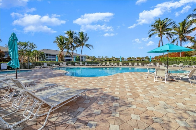 view of pool featuring a patio