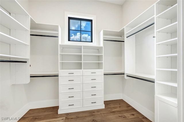 spacious closet featuring dark wood-type flooring