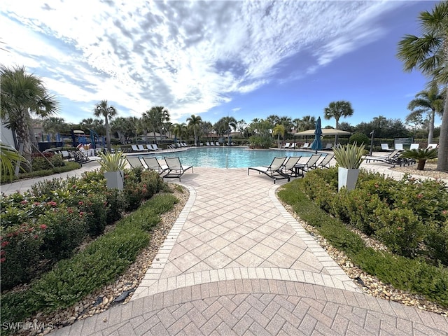 view of pool with a patio area