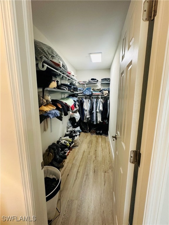 walk in closet with light hardwood / wood-style flooring