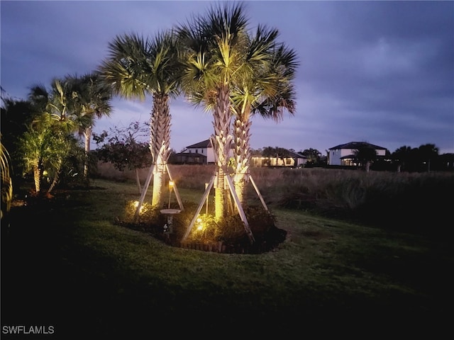 view of yard at dusk