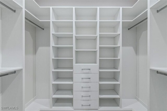 view of spacious closet