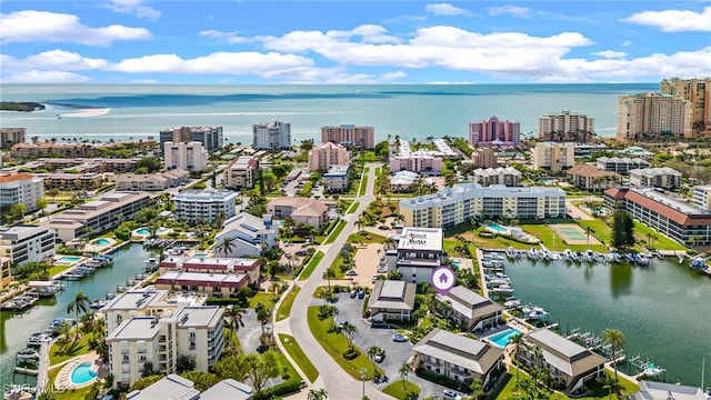 aerial view with a water view