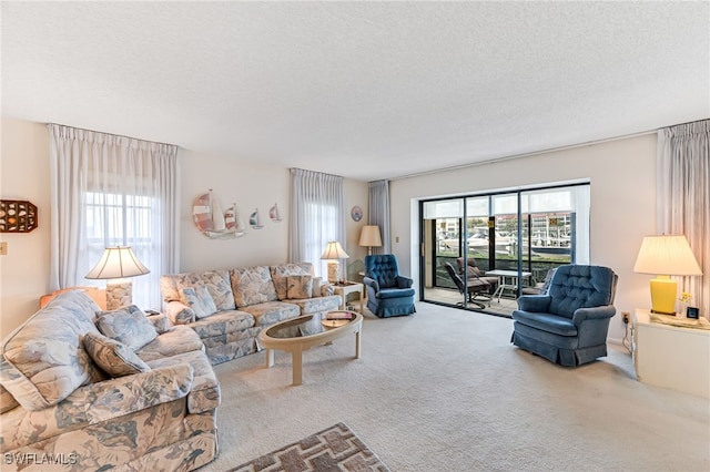 carpeted living room with a textured ceiling