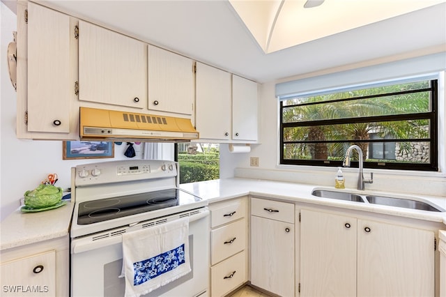 kitchen with sink, ventilation hood, and electric stove