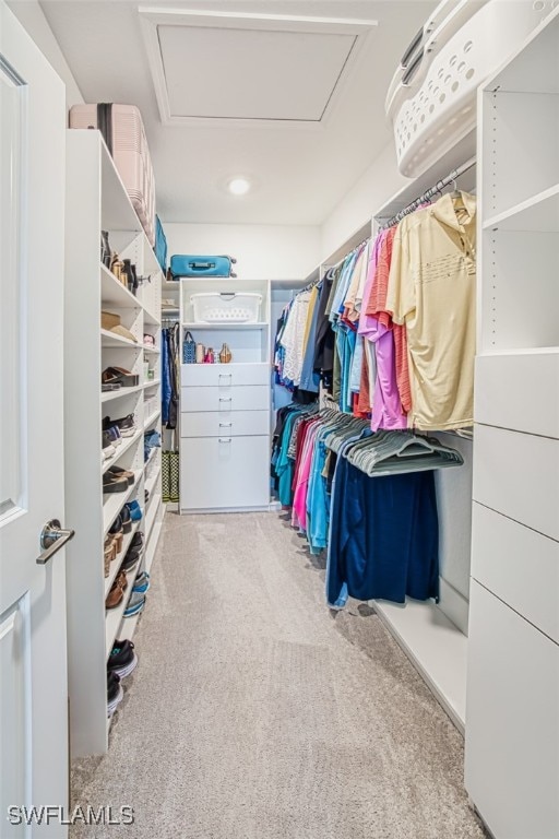 walk in closet with light carpet