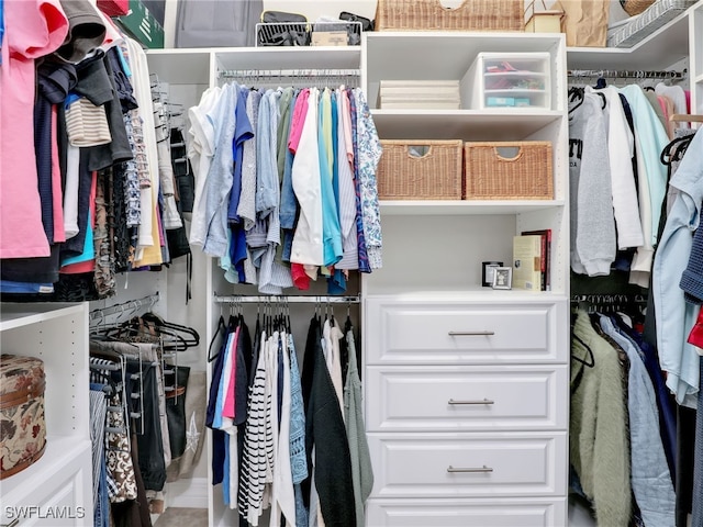 view of spacious closet