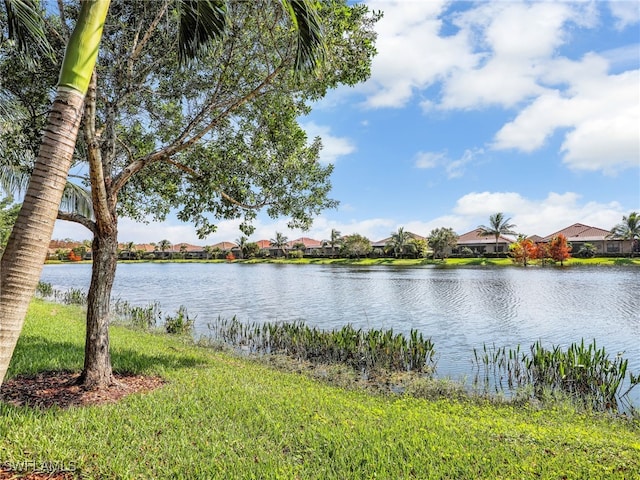 property view of water