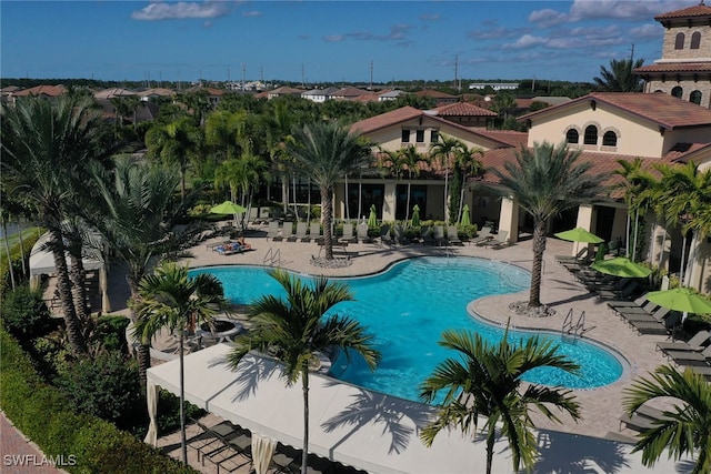 view of pool featuring a patio