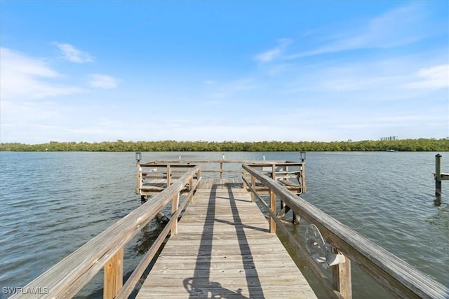 view of dock with a water view