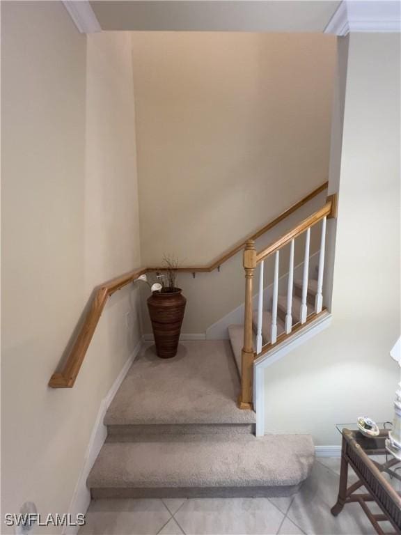 staircase with carpet floors