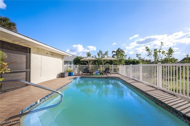 view of swimming pool featuring a patio area