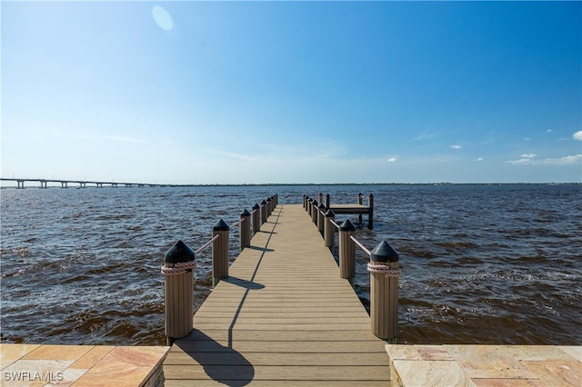 dock area with a water view