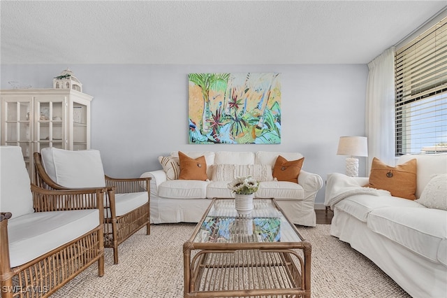 living room with a textured ceiling