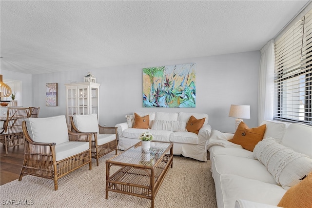 carpeted living room with a textured ceiling