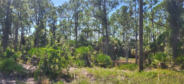 Listing photo 2 for 13493 Carousel Dr, Punta Gorda FL 33955