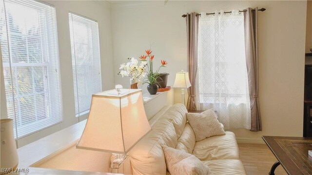 living room with light wood-type flooring