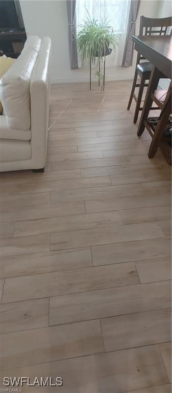 room details with wood-type flooring