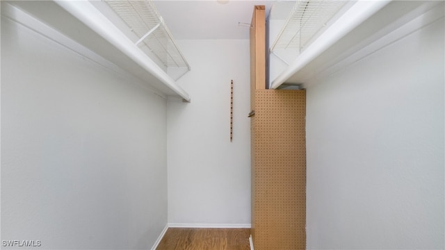 walk in closet featuring wood-type flooring