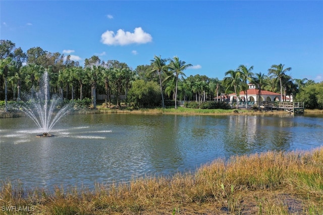 view of water feature