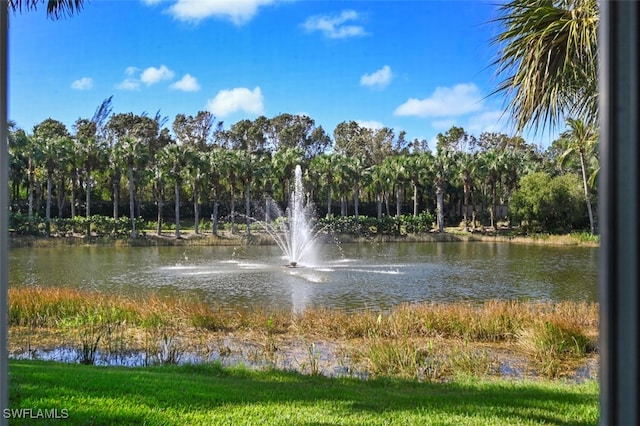 property view of water