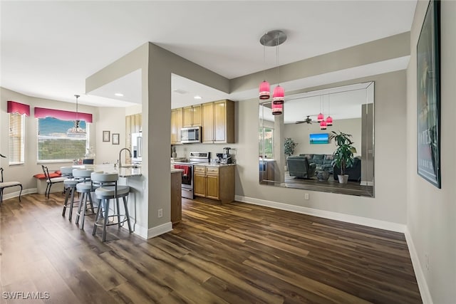 kitchen with ceiling fan, appliances with stainless steel finishes, a breakfast bar area, dark hardwood / wood-style floors, and pendant lighting