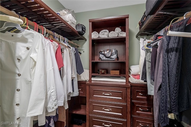 view of walk in closet