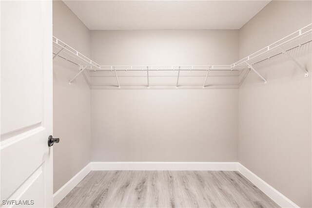 walk in closet with light wood finished floors