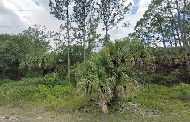 1919 Walcott Loop, Lehigh Acres FL, 33972 land for sale