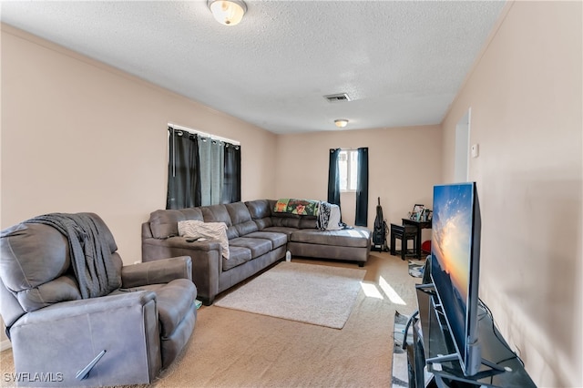 carpeted living room with a textured ceiling