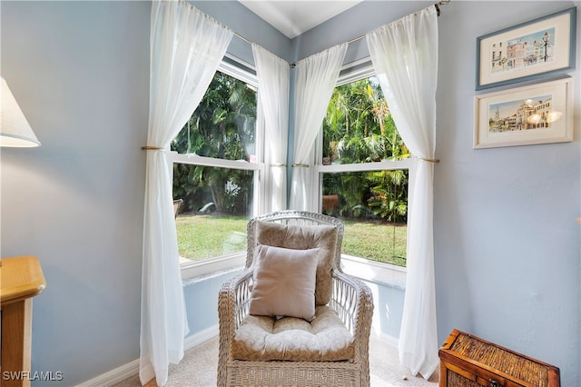 living area featuring carpet floors and plenty of natural light