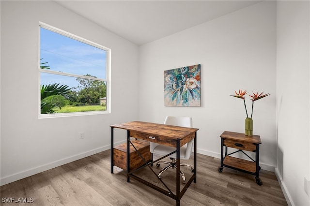 home office featuring hardwood / wood-style flooring