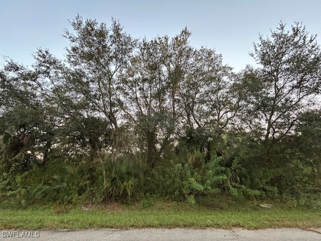 1909 Grant Ave, Lehigh Acres FL, 33972 land for sale