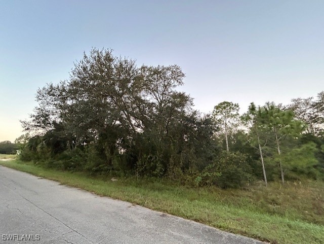 Listing photo 3 for 1909 Grant Ave, Lehigh Acres FL 33972