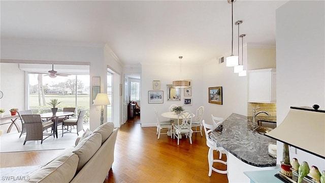 living room featuring hardwood / wood-style floors, plenty of natural light, and ornamental molding