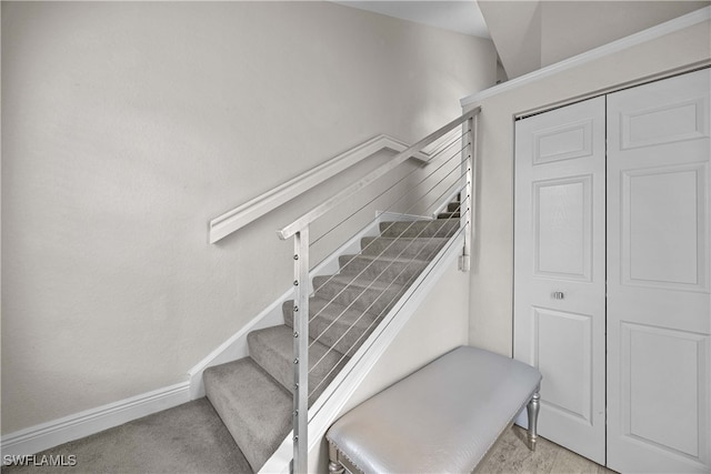 staircase featuring carpet floors