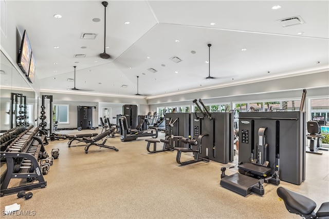 gym featuring lofted ceiling