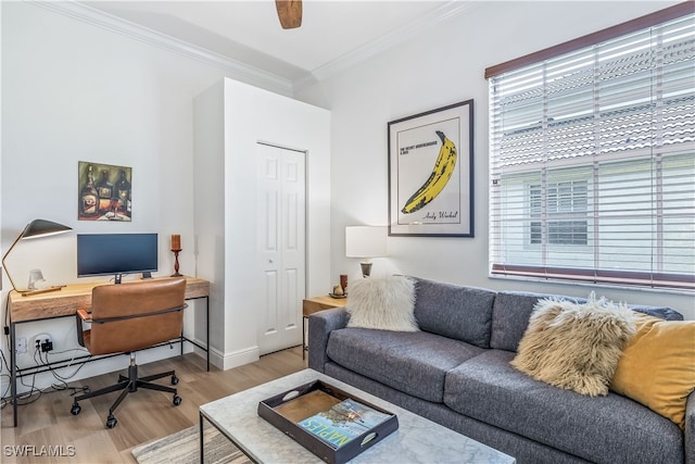 office with light hardwood / wood-style floors and crown molding