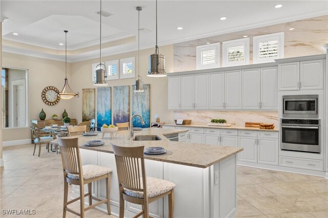 kitchen with a tray ceiling, light stone countertops, sink, and stainless steel appliances