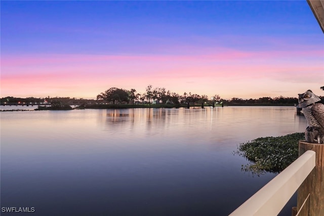 property view of water