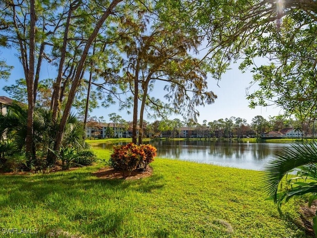 view of water feature