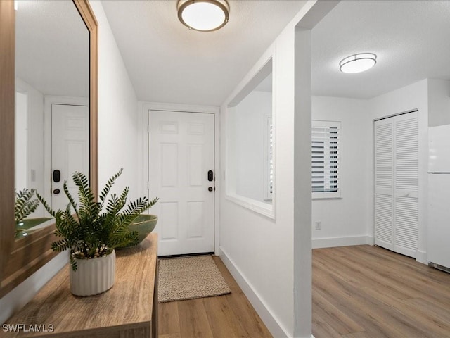 entryway featuring hardwood / wood-style floors