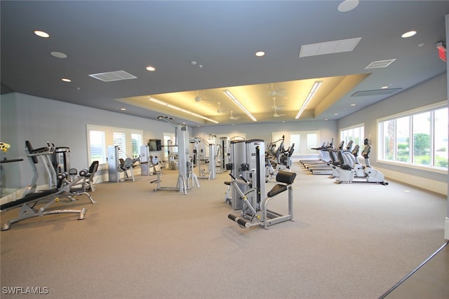 gym with plenty of natural light, light carpet, and a tray ceiling