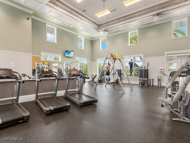 workout area with crown molding and a towering ceiling