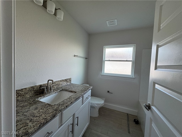 bathroom featuring vanity, toilet, and wood-type flooring