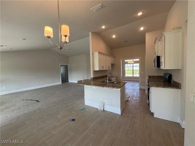 2112 NW 22nd Ave, Cape Coral, FL 33993 - kitchen featuring stainless steel appliances, open floor plan, vaulted ceiling, a sink, and wood finished floors