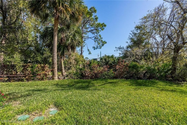 15050 Caspian Tern Ct Unit 102, North Fort Myers, FL 33917 - view of yard