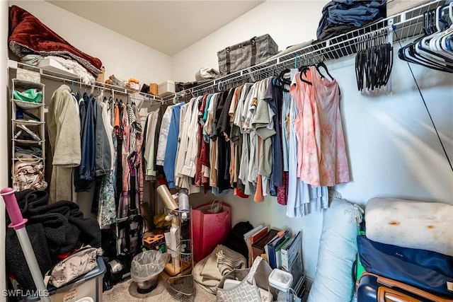 15050 Caspian Tern Ct Unit 102, North Fort Myers, FL 33917 - view of spacious closet